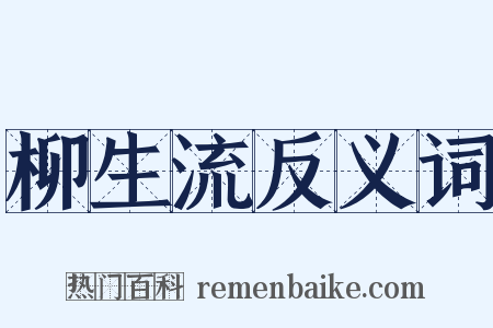 柳生流反义词是什么意思的图片